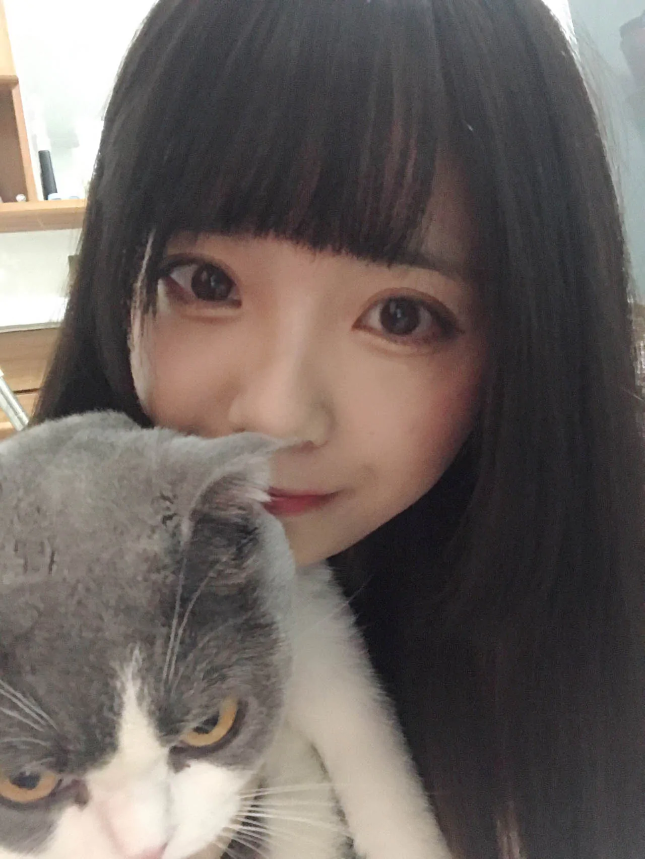 小野妹子w – 全套48期，大小10.4G