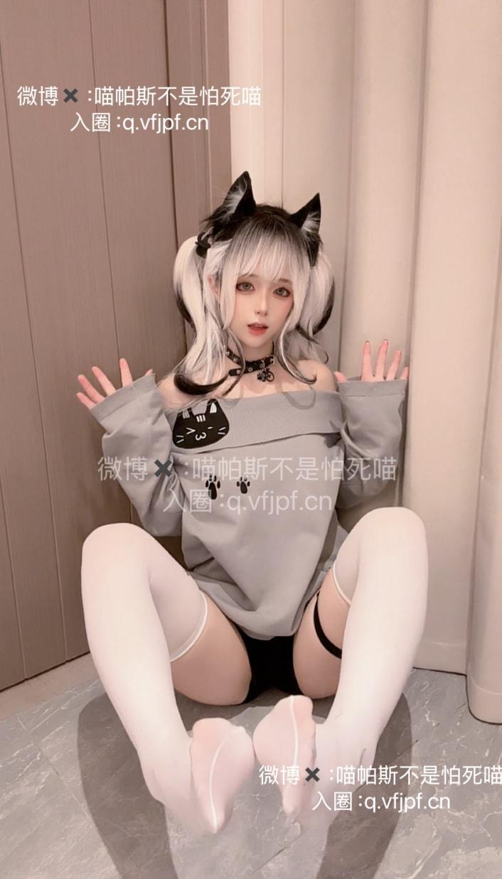 喵帕斯不是怕死喵 – 日常白斯喵-精美作品